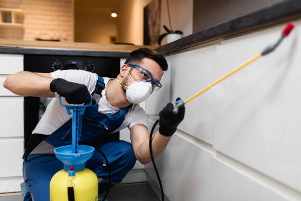 Best Best Pest Control Companies  in Valenti, NE