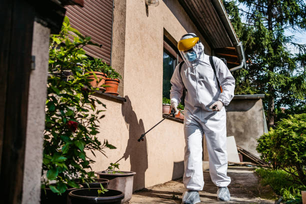 Best Pest Removal Services  in Valenti, NE
