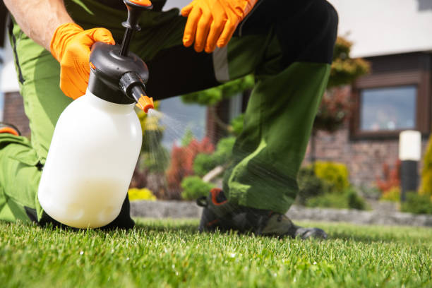 Best Commercial Pest Control Services  in Valenti, NE