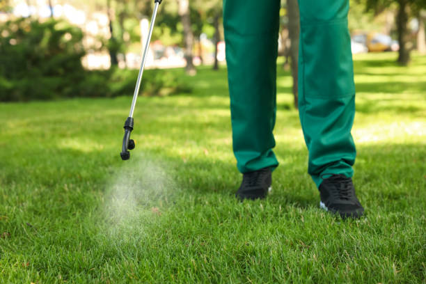 Best Flea Control Services  in Valenti, NE