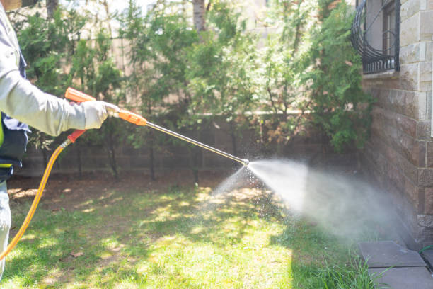 Best Emergency Pest Control  in Valenti, NE